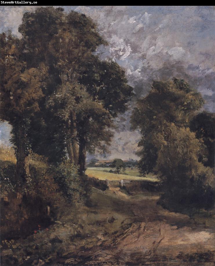 John Constable A Cornfield